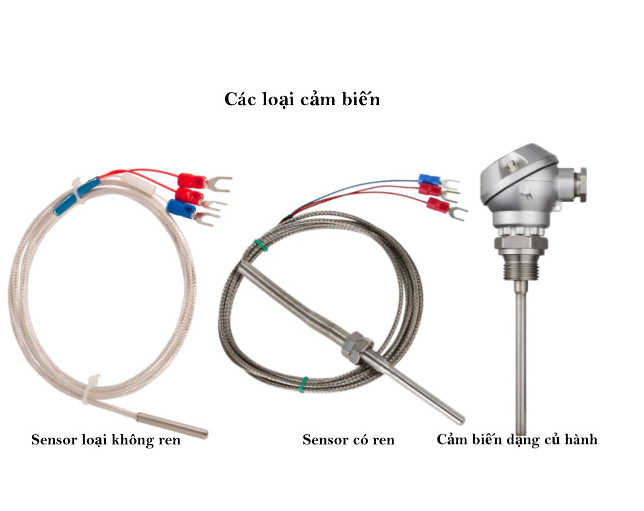 Các yếu tố ảnh hưởng đến hiệu suất của cảm biến nhiệt độ